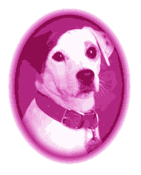 [Wishbone]