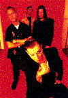 [Social Distortion]